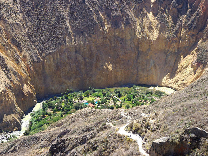 colca canyon oasis